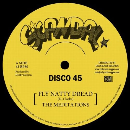 MEDITATIONS / メディテイションズ / FLY NATTY DREAD