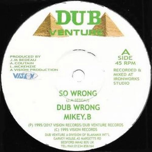 MIKEY B / マイキー・ビー / SO WRONG / SO WRONG 