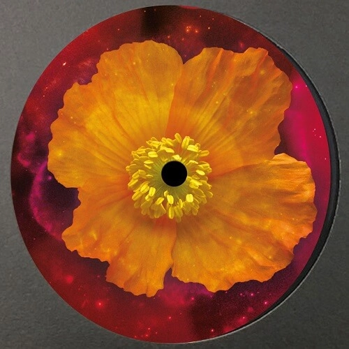 CLEARENCE WU / VENUS WITHIN