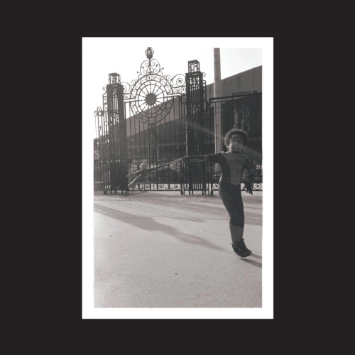 IRREVERSIBLE ENTANGLEMENTS / イリヴァーシブル・エンタングルメンツ / OPEN THE GATES(LP)