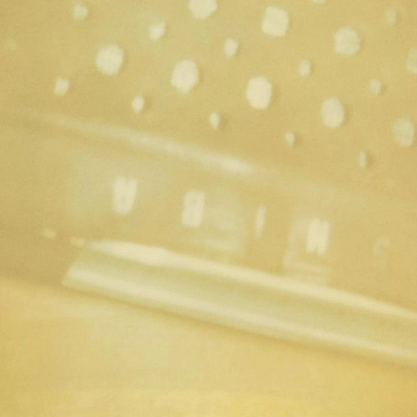 STEVE RODEN / スティーヴ・ロデン / THE RADIO - AIRRIA (HANGING GARDEN) - VEIN STEM IS CALM (LP)