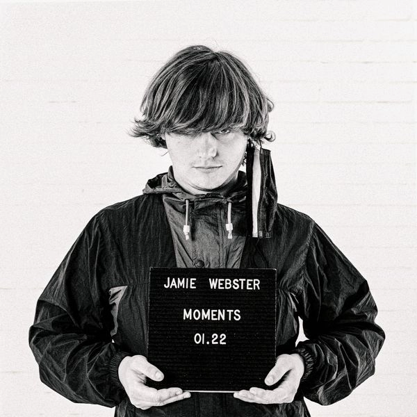 JAMIE WEBSTER / ジェイミー・ウェブスター / MOMENTS (VINYL)