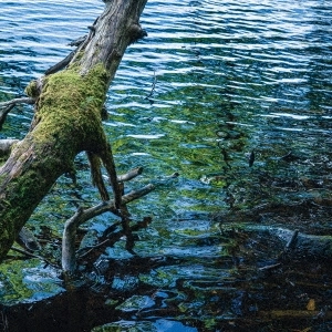 KAZUKI SUGAWARA / 菅原一樹 / Where wind arises