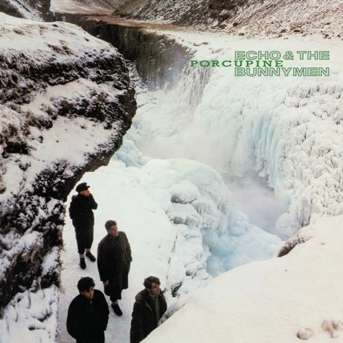ECHO & THE BUNNYMEN / エコー&ザ・バニーメン / PORCUPINE [180GRAM BLACK VINYL]