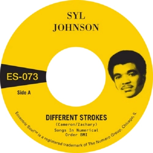 SYL JOHNSON / シル・ジョンソン / DIFFERENT STROKES / IS IT BECAUSE I'M BLACK