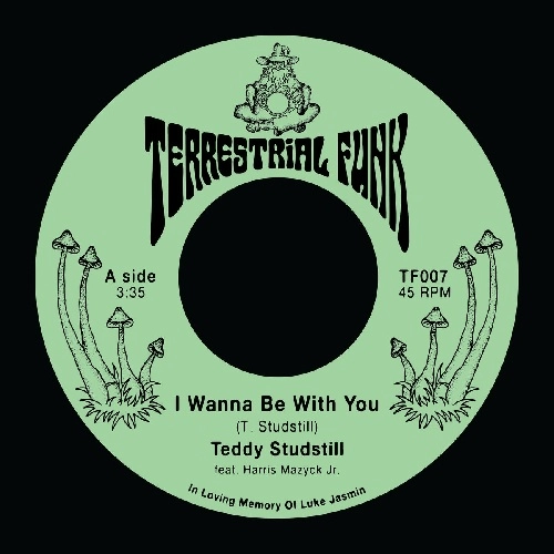 TEDDY STUDSTILL / I WANNA BE WITH YOU / THERE COMES A TIME