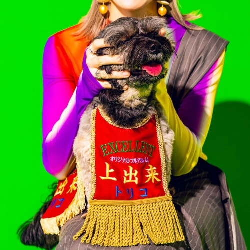 TRICOT / 上出来