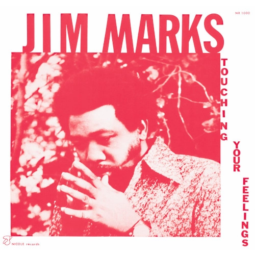 JIM MARKS / ジム・マークス / TOUCHING YOUR FEELINGS (LP)