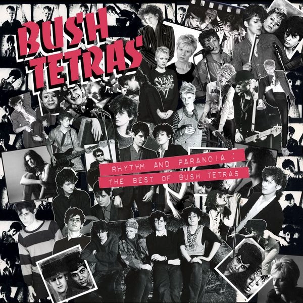 BUSH TETRAS / ブッシュ・テトラス / RHYTHM AND PARANOIA: THE BEST OF BUSH TETRAS (2LP + BOOK)