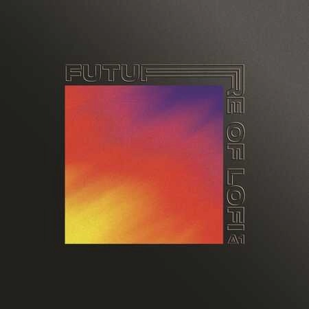 V.A. (VINYL DIGITAL) / THE FUTURE OF LOFI