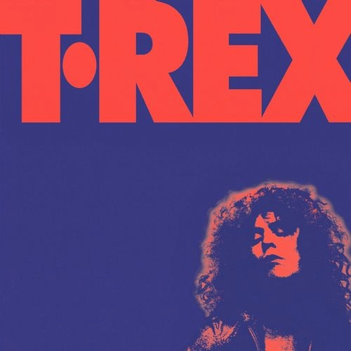 MARC BOLAN & T.REX / マーク・ボラン&T.レックス / THE ALTERNATIVE SINGLES COLLECTION (2CD) / ALTERNATIVE SINGLES COLLECTION