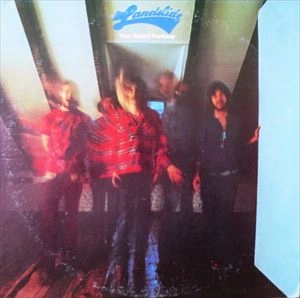 LANDSLIDE / TWO SIDED FANTASY (LP)