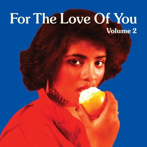V.A. / FOR THE LOVE OF YOU VOL.2