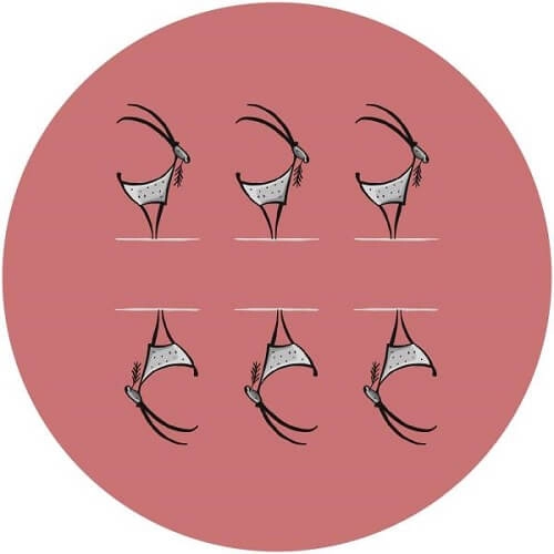 UNKNOWN / LA CHEVRE 006
