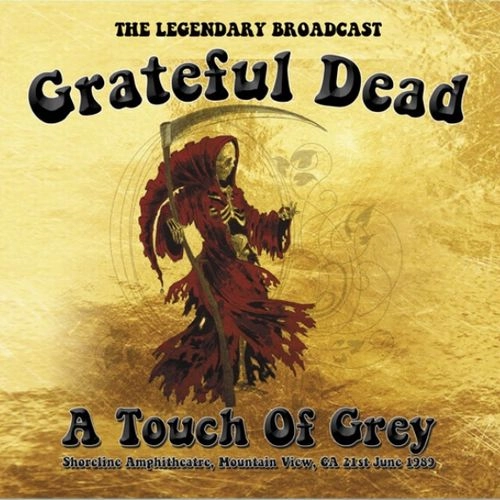 GRATEFUL DEAD / グレイトフル・デッド / A TOUCH OF GREY (10"*2) / A TOUCH OF GREY