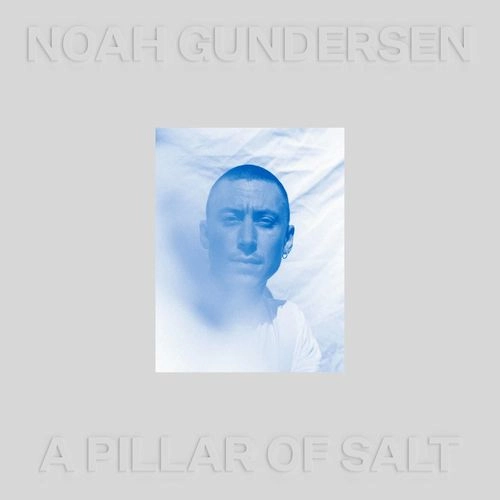 NOAH GUNDERSEN / ノア・ガンダーセン / PILLAR OF SALT (LP)