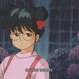 EEVEE / SEEDS. (12")