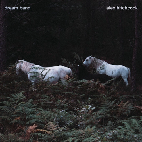 ALEX HITCHCOCK / アレックス・ヒッチコック / DREAM BAND