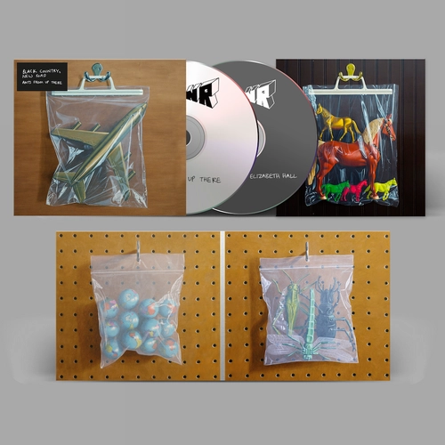 BLACK COUNTRY, NEW ROAD / ブラック・カントリー・ニュー・ロード / ANTS FROM UP THERE(2CD)