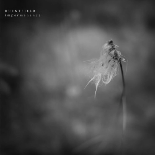 BURNTFIELD / IMPERMANENCE