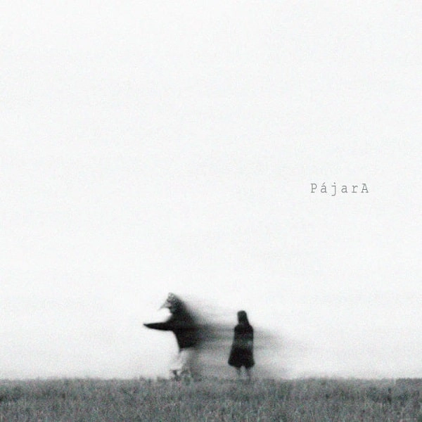 CLARA PRESTA / クララ・プレスタ / パーハラ / PAJARA
