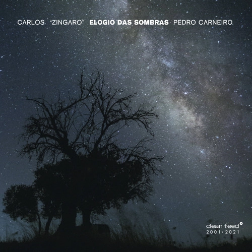 CARLOS ZINGARO / カルロス・ジンガロ / ELOGIO DAS SOMBRAS