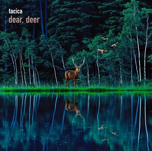 tacica / タシカ / "BEST ALBUM dear, deer"
