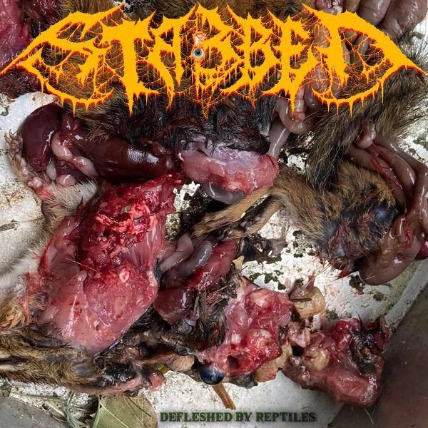 STABBED / スタブド / デフレッシュド･バイ･タイルズ / Defleshed by Reptiles