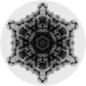 MOI / 12 (VINYL ONLY)
