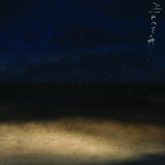 ALTOCAMET / アルトカメ / SURFISTA NOCTURNO