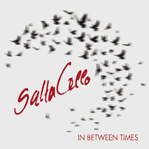 SALTACELLO / IN BETWEEN TIMES