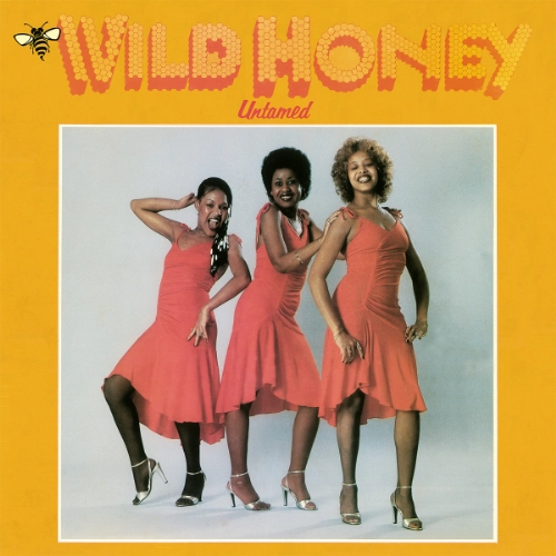 WILD HONEY (SOUL) / ワイルド・ハニー (SOUL) / アンテーンド / UNTAMED