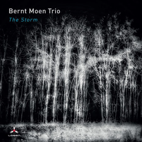 BERNT MOEN / Storm