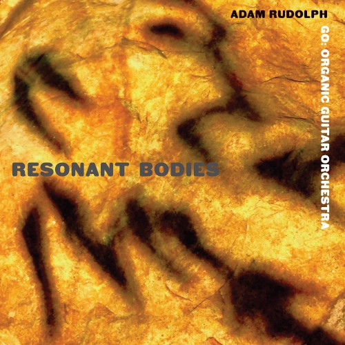 ADAM RUDOLPH / アダム・ルドルフ / RESONANT BODIES