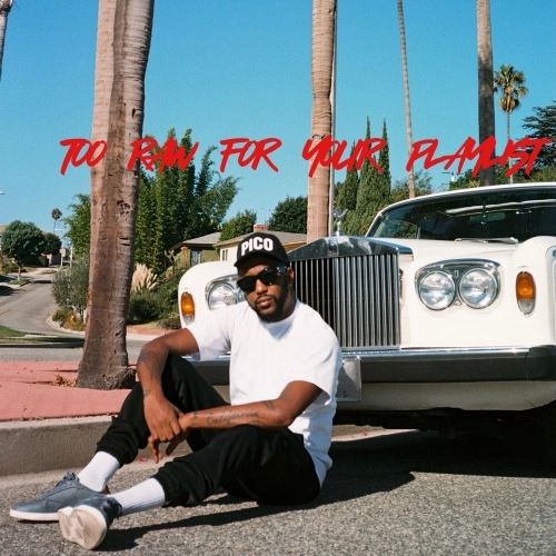 POLYESTER THE SAINT / Too Raw For Your Playlist