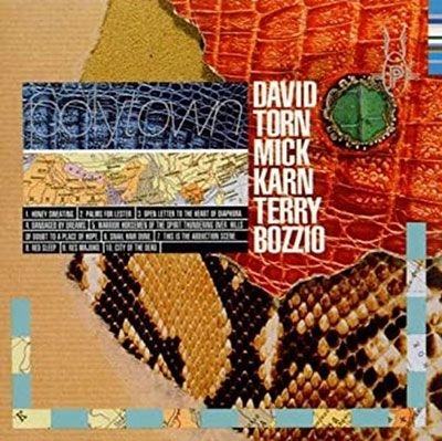 DAVID TORN/MICK KARN/TERRY BOZZIO / デヴィッド・トーン / ミック・カーン / テリー・ボジオ / ポリタウン / POLYTOWN