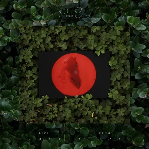 MOSES SUMNEY / モーゼス・サムニー / LIVE FROM BLACKALACHIA (2XLP - BLACK)