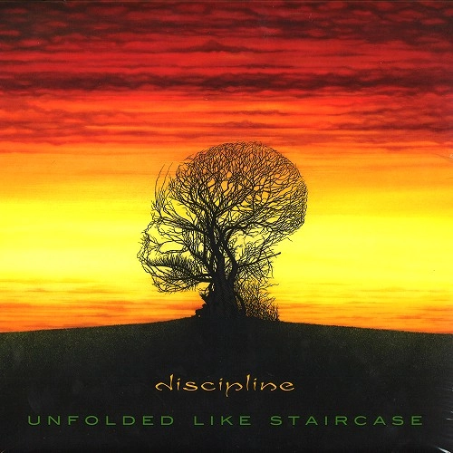 DISCIPLINE (PROG: US) / ディシプリン / UNFOLDED LIKE STAIRCASE: 2020 TERRY BROWN MIX LIMITED BLACK VINYL / UNFOLDED LIKE STAIRCASE: 2020 TERRY BROWN MIX LIMITED BLACK VINYL 