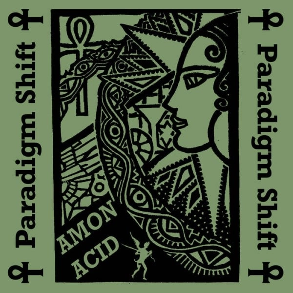AMON ACID / PARADIGM SHIFT