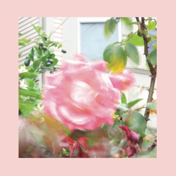 REDS, PINKS AND PURPLES / SUMMER AT LAND'S END (CD)