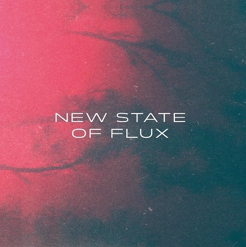 V.A.(NOISE / AVANT-GARDE) / NEW STATE OF FLUX
