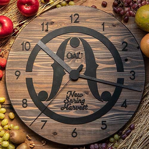 OAU (OVERGROUND ACOSTIC UNDERGROUND) / New Spring Harvest(CD+DVD)
