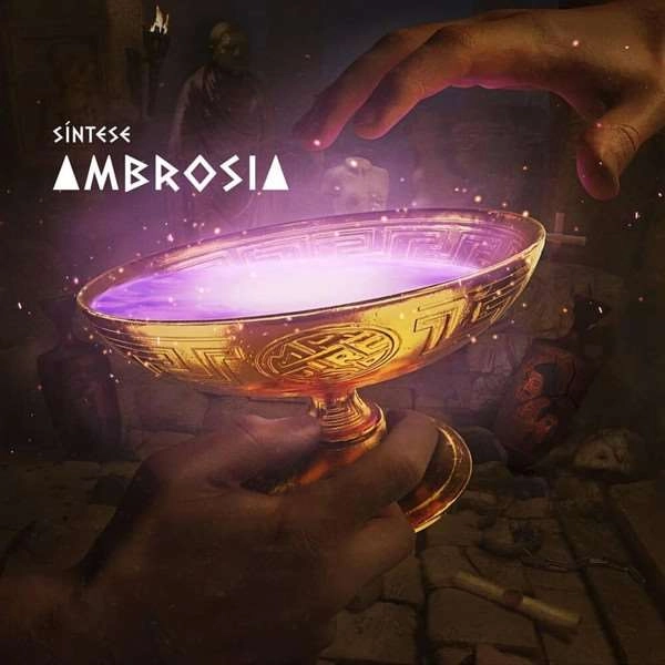 SINTESE / シンテージ / AMBROSIA
