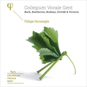 PHILIPPE HERREWEGHE / フィリップ・ヘレヴェッヘ / COLLEGIUM VOCALE GENT 50TH ANNIVERSARY