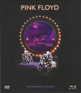 PINK FLOYD / ピンク・フロイド / DELICATE SOUND OF THUNDER