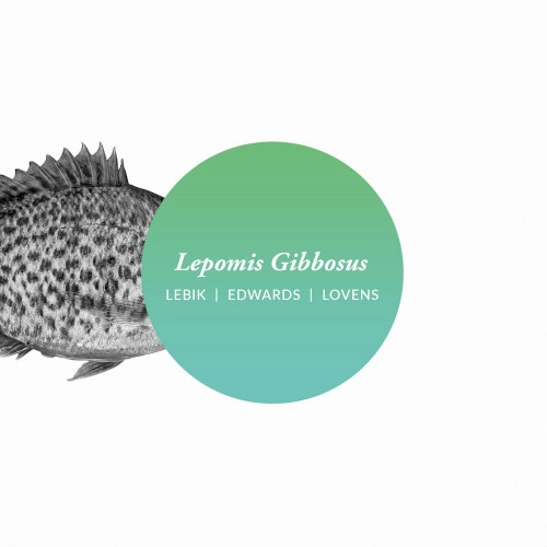 GERARD LEBIK / ジェラルド・レビック / LEPOMIS GIBBOSUS