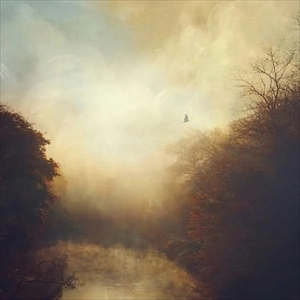 STRAY THEORIES / THIS LIGHT