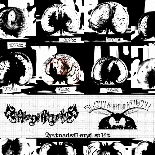 Horornisdiphonevalley / SlothPhantomMoth / Tystnadsallergi