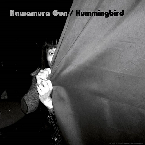 Kawamura Gun / かわむらぐん / Hummingbird（LP）