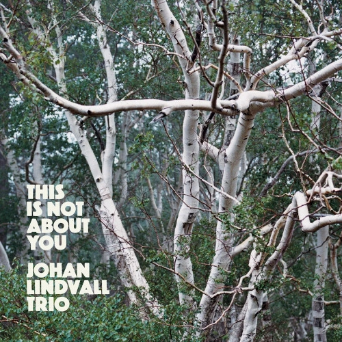 JOHAN LINDVALL / ヨハン・リンドヴァル / THIS IS NOT ABOUT YOU